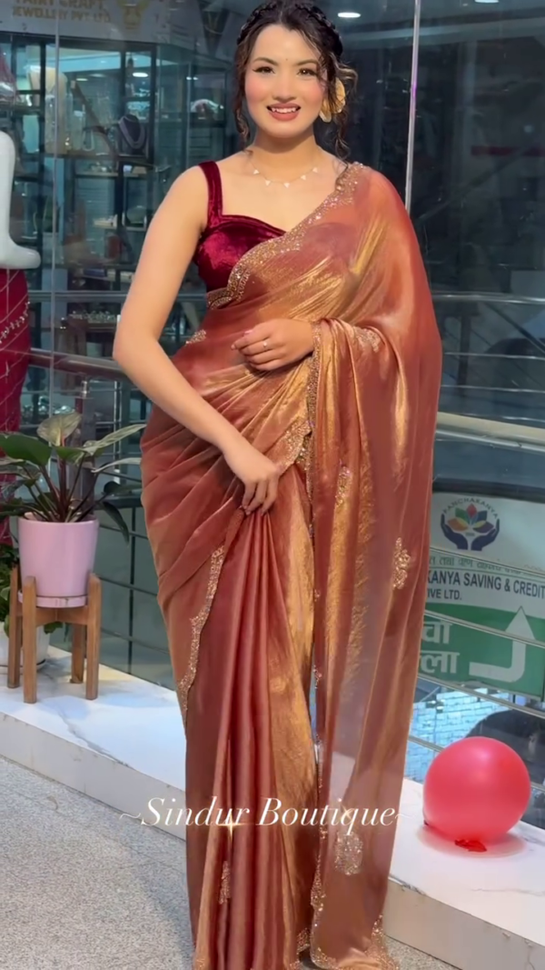 Peach Color Jimmy choo Thread Sequence Work Saree