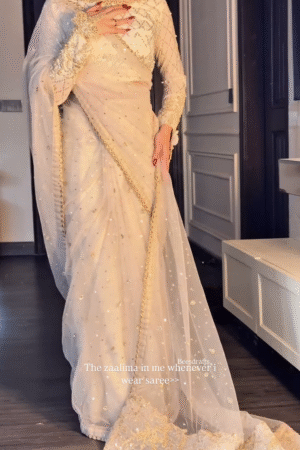 White Chanderi Silk Organza Saree With Blouse