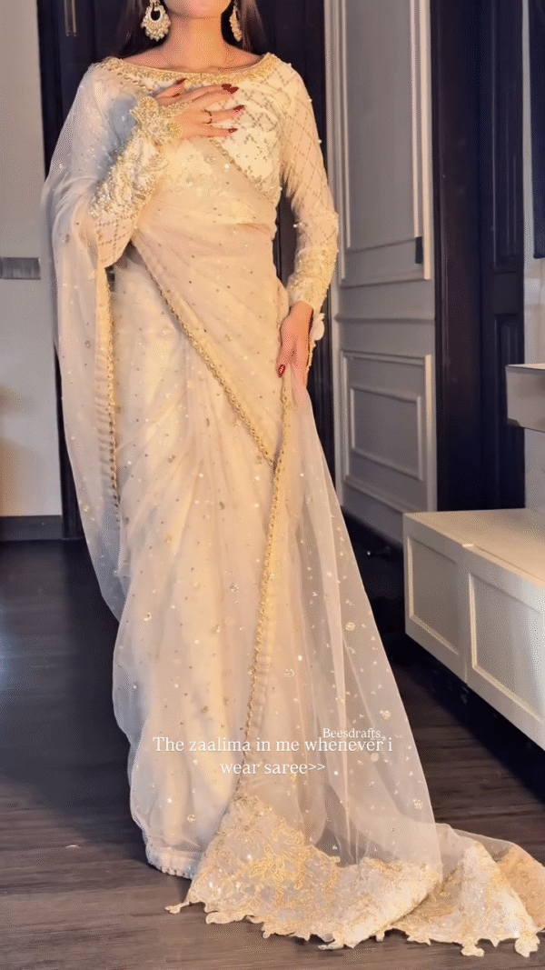White Chanderi Silk Organza Saree With Blouse