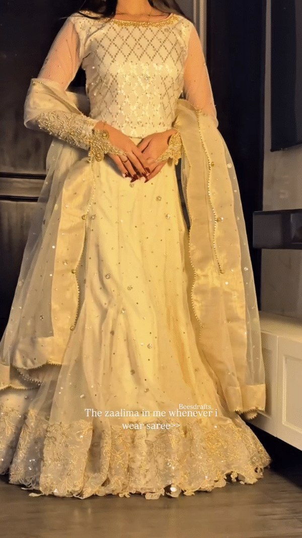 White Chanderi Silk Organza Saree With Blouse - Image 2